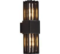 Светильник уличный настенный ST luce черный/черный E2х5W SL9018.401.02