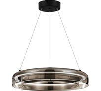 Светильник подвесной ST-Luce Черный/Дымчатый, Белый LED 1х6W 3000K ST luce SL6019.333.01