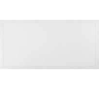 Светильник светодиодный настенно-потолочный Jazzway PPL 595/R OPAL 20Вт 6500K IP40 295х595х30мм Ra90 ДВО с равномерной засветкой матовый (упаковка 4шт) 5068889