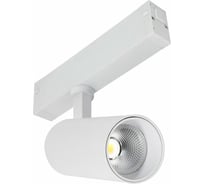 Светильник трековый ST LUCE Белый LED 1*10W 4000K 535Lm Ra36о 36о IP20 D40xH90 220V ST660.546.10H