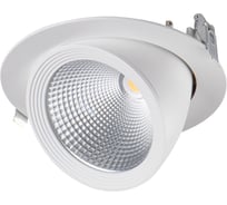 Светильник направленного света типа downlight KANLUX HIMA LED 33W-NW-W 22843