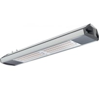 Светильник светодиодный Технологии света ЕСАУЛ ДКУ 02 160 740 ШБ УТ000026408