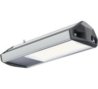 Светильник светодиодный Технологии света ЕСАУЛ ДКУ 02 60 750 Д УТ000027177