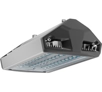 Светильник светодиодный Технологии света ЕСАУЛ ДКУ 50 740 ШБ УТ000020648