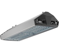 Светильник светодиодный Технологии света ЕСАУЛ ДКУ 100 740 ШБ УТ000020652