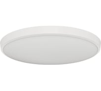 Светильник светодиодный накладной OGM, 72Вт, 5760лм, 4000К, IP20, o460х55мм, белый / O18-155