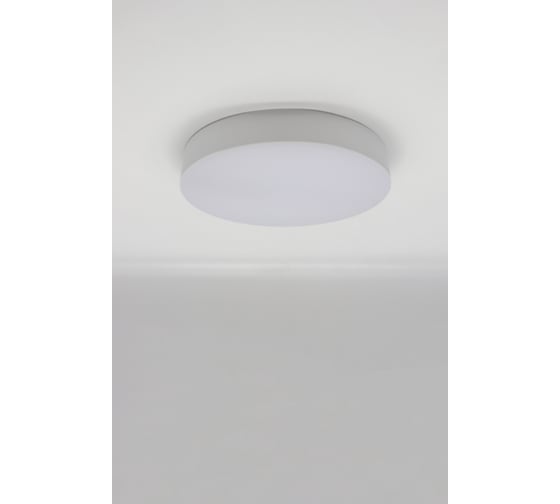 Светильник светодиодный накладной DzivaTek круг 14W 4000K 1120Lm D165мм IP20 белый пластик 51151