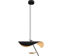 Подвесной светодиодный светильник LOFT IT Pallium 10479/400