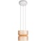 Подвесной светодиодный светильник LOFT IT Totem 10466/2P Amber matte 1