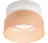 Потолочный светодиодный светильник LOFT IT Totem 10466 Amber matte