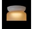 Потолочный светодиодный светильник LOFT IT Totem 10466 Amber matte 4