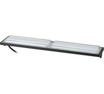 Светильник светодиодный ЭРА SPP-405-0-50K-100 100Вт 5000K IP65 120х60 Б0062737