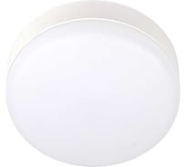 Светодиодный светильник ФАZА "Банник" ДПО-1046 15Вт 6500К IP54 ЖКХ ДБП пылевлагозащ. 5033122