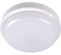 Светодиодный светильник ФАZА "Банник" ДПО-1034 12Вт 4000К IP54 ЖКХ ДБП пылевлагозащитный сенсор с оптико-акустическим датчиком 5035959