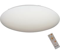 Потолочный светодиодный светильник Omnilux OML-43017-80