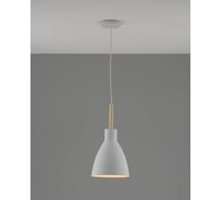 Подвесной светильник Moderli Toni 1 E27 60W белый V11432-1P