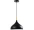 Подвесной светильник Moderli Eline 1 E27 60W черный V11440-1P 2