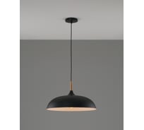 Подвесной светильник Moderli Hygo 1 E27 60W черный V11448-1P