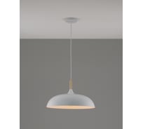 Подвесной светильник Moderli Hygo 1 E27 60W белый V11447-1P