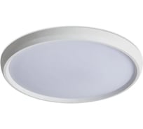 Потолочный светильник Freya FR6211CL-L24W