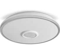 Потолочный светильник Freya FR6226CL-L36W