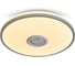Потолочный светильник Freya FR6226CL-L36W 6