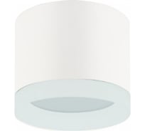 Накладной светильник ЭРА OL17 GX53 WH подсветка, под GX53 40/960 Б0049044