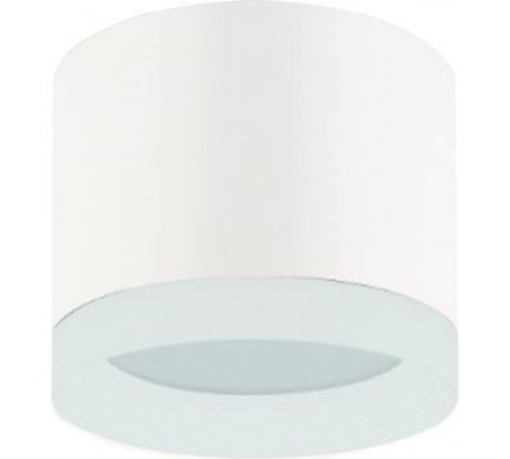 Накладной светильник ЭРА OL17 GX53 WH подсветка, под GX53 40/960 Б0049044
