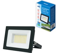 Прожектор светодиодный Uniel ULF-F70 30W/6500K IP65 12/24/36V BLACK UL-00012873