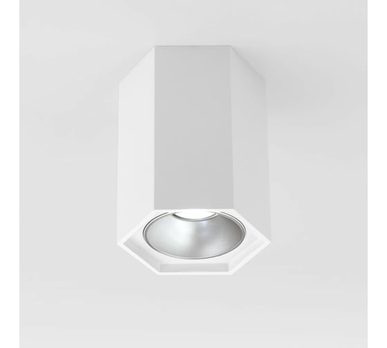 Накладной светильник Elektrostandard 25036 LED белый матовый серебро a055856 1