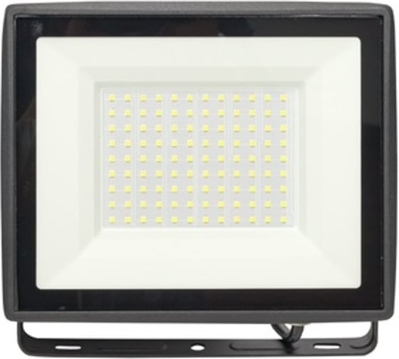 Светодиодный прожектор EKF СДО-3006 100Вт 6500К IP65 Basic FLL-3006-100-6500