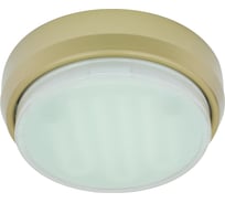 Накладной светильник Ecola GX53 DGX5318 Легкий золото 18x88 FG53FFECD