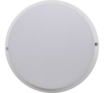 Накладной светильник Ecola LED ДПП Круг IP65 матовый белый 24W 220V 6500K 210x45 DPRD24ELC