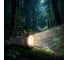 Фонарь аккумуляторный Camelion LED29364 (сер., LED+COB, 5 Вт, 3 реж.,USB2.0,Type-C, PB, 2,4 А-ч, пласт., кор.) 16205 11