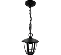 Подвесной садово-парковый светильник Apeyron, Е27x60Вт, 6-гранный, пластик, черный, прозрачный 170x170x840мм 11-171