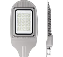 Уличный светильник Wolta PRO ТРАССА Прозрачный ДКУ04-100-102-4К ШО140х60