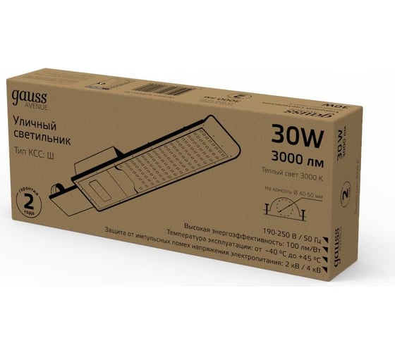 Уличный консольный светодиодный светильник Gauss IP65 30W 3000lm 3000K КСС "Ш" 629534130