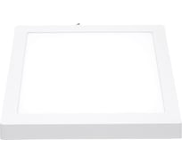 Накладной светодиодный светильник ЭРА LED 9244K квадратный, LED, 24W, 220V, 4000K, белый Б0050274