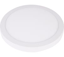 Накладной светодиодный светильник ЭРА LED 8124K круглый, LED, 12W, 220V, 4000K, белый Б0050275
