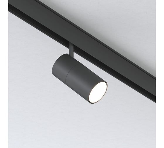 Трековый светильник Elektrostandard Slim Magnetic R02 12W 4200K черный 85012 01 a057200