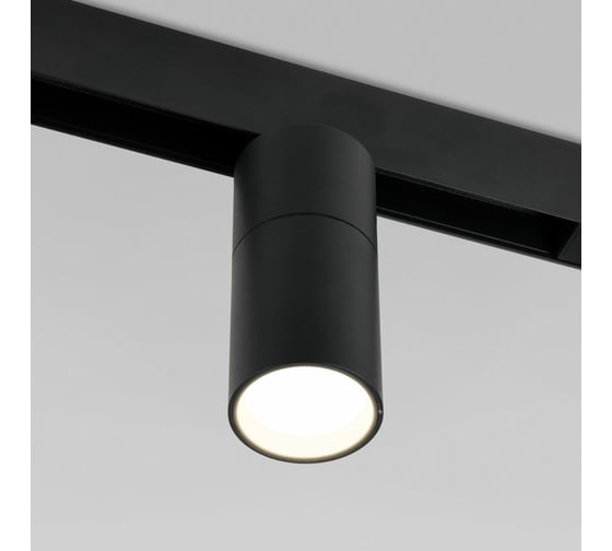 Трековый светильник Elektrostandard Slim Magnetic R02 12W 4200K черный 85012 01 a057200
