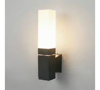 Уличный настенный светильник со светодиодами Elektrostandard 1534 TECHNO LED 3000K IP54 чёрный a072067