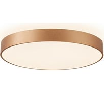 Настенно-потолочный светильник Aployt APL.023.07.68