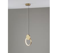 Светильник подвесной светодиодный Moderli Store V11498-PL