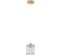 Подвесной светильник Rivoli Angelina 9077201 1хЕ27 40 Вт модерн потолочный, Б0052878