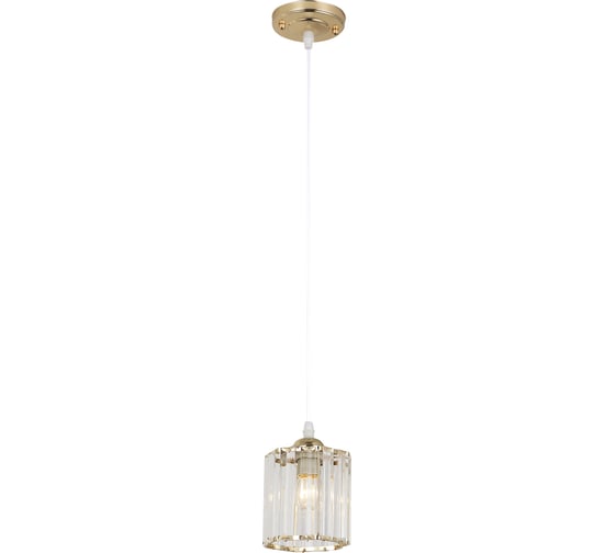 Подвесной светильник Rivoli Angelina 9077201 1хЕ27 40 Вт модерн потолочный, Б0052878