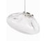 Подвесной светодиодный светильник LOFT IT Random 10469M Clear 5