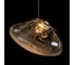 Подвесной светодиодный светильник LOFT IT Random 10469M Clear 6
