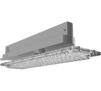 Светильник LEDEL L-store Lite/30/Г25/850/05/SH/230AC IP20 RAL7038 SL30-1762-519-1213