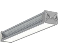 Светильник LEDEL L-industry NEW 24/23/К15/5,0К/01/IKVI-11/220AC IP66 L 401011L